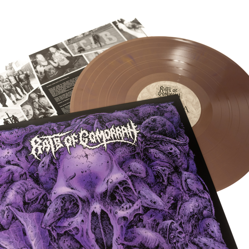 Rats Of Gomorrah - Infectious Vermin Vinyl LP  |  Purple/Gold Marble